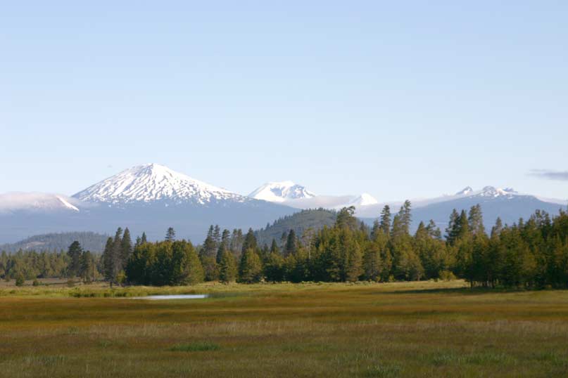La Pine