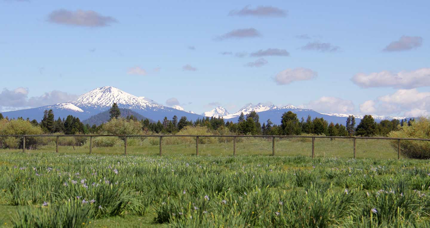 Mt. Bachelor June 2020