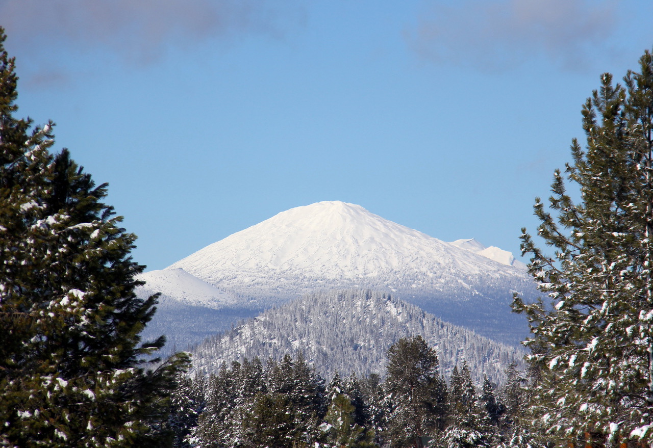 A view of Mt. Bachelor from Birch Park Arabians