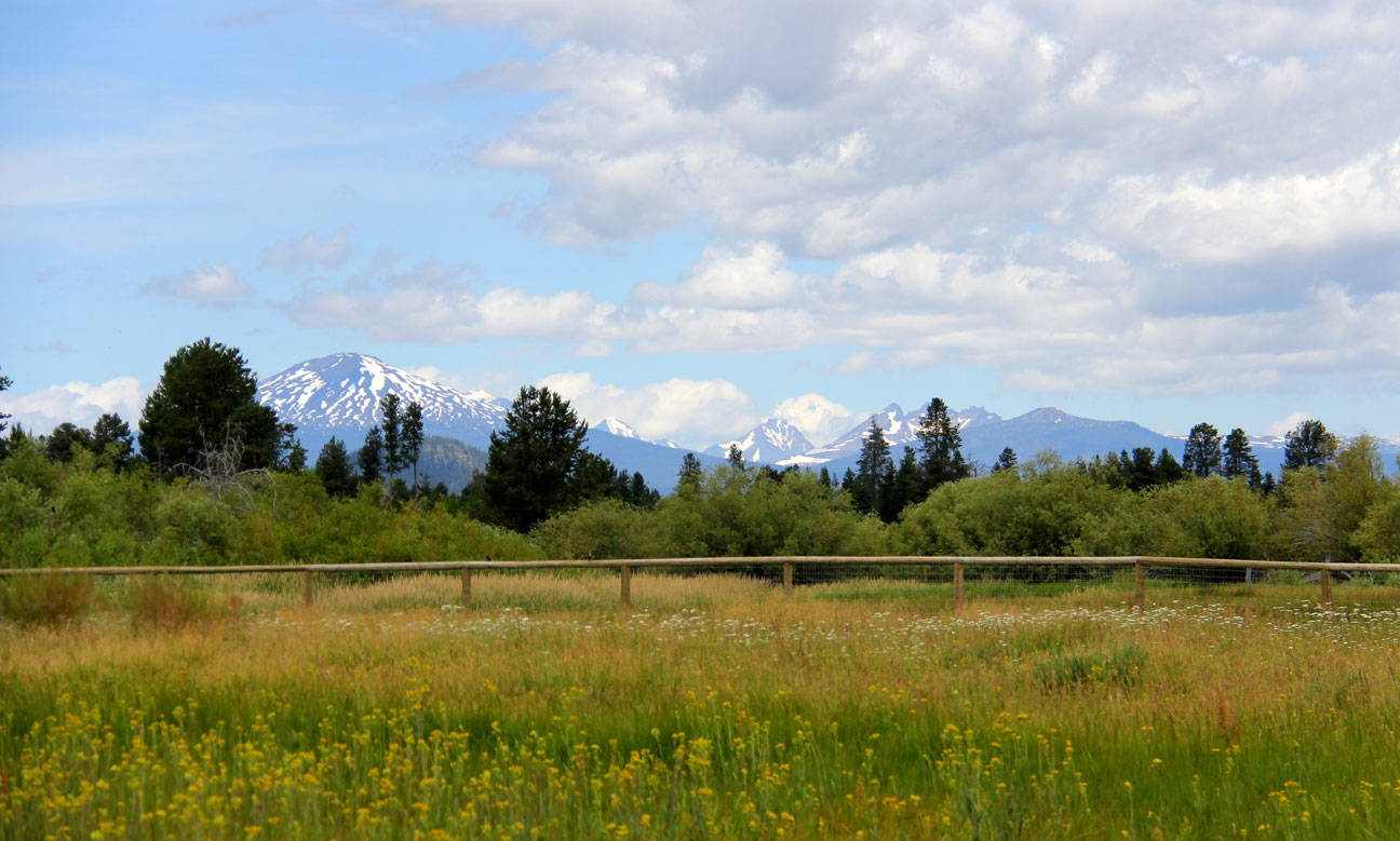 Mt Bachelor