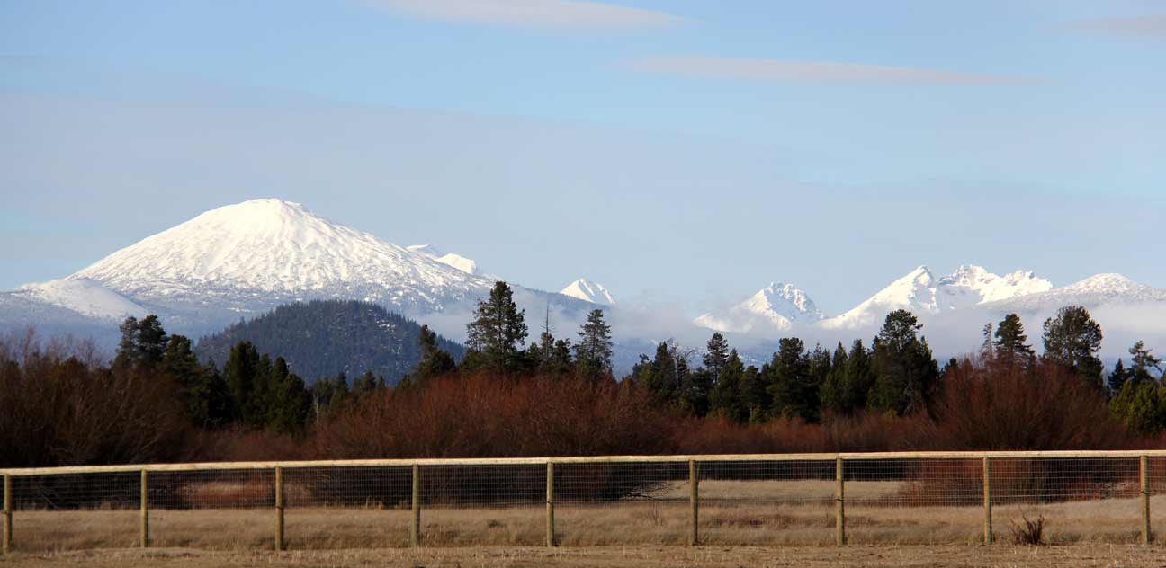 Mt bachelor