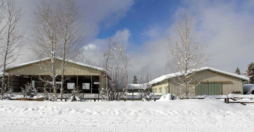 Birch Park Black Arabians barns