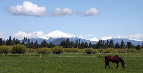 Spring in La Pine