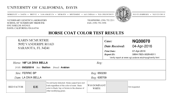 Homozygous test results