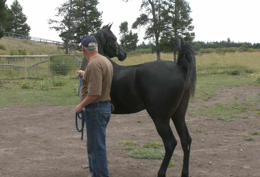 Black daughter of Ames Charisma