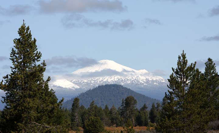 Mount Bchelor as seen from Birch Park Black Arabians