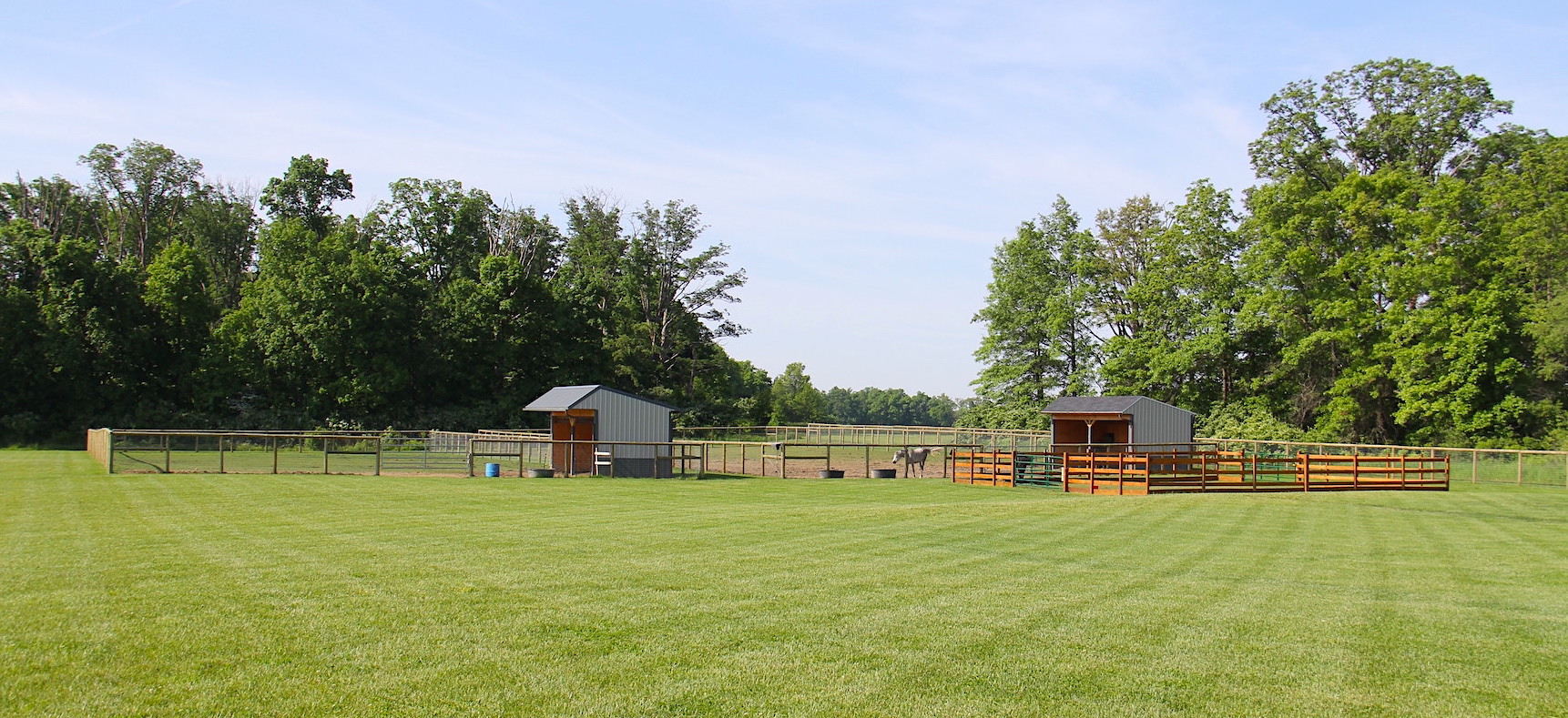 Birch Park Black Arabians