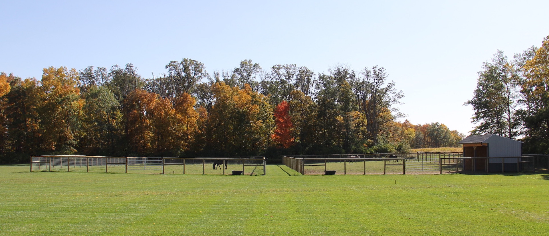 pastures at our new ranch