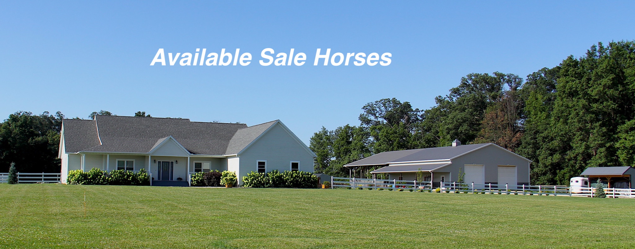 Sale horses list