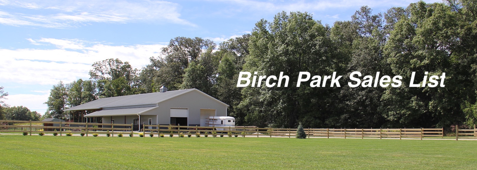 Available Sales Horses from Birch Park