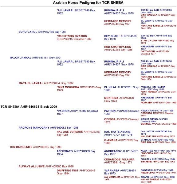 Sheba's pedigree