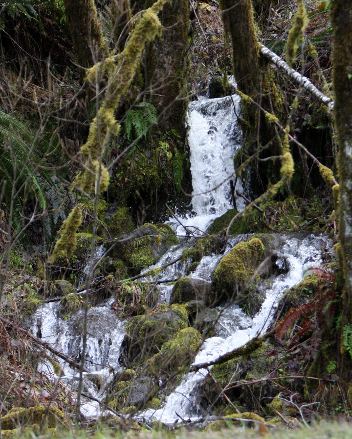 Waterfall seen along Hwy 58 on 2-24-2012