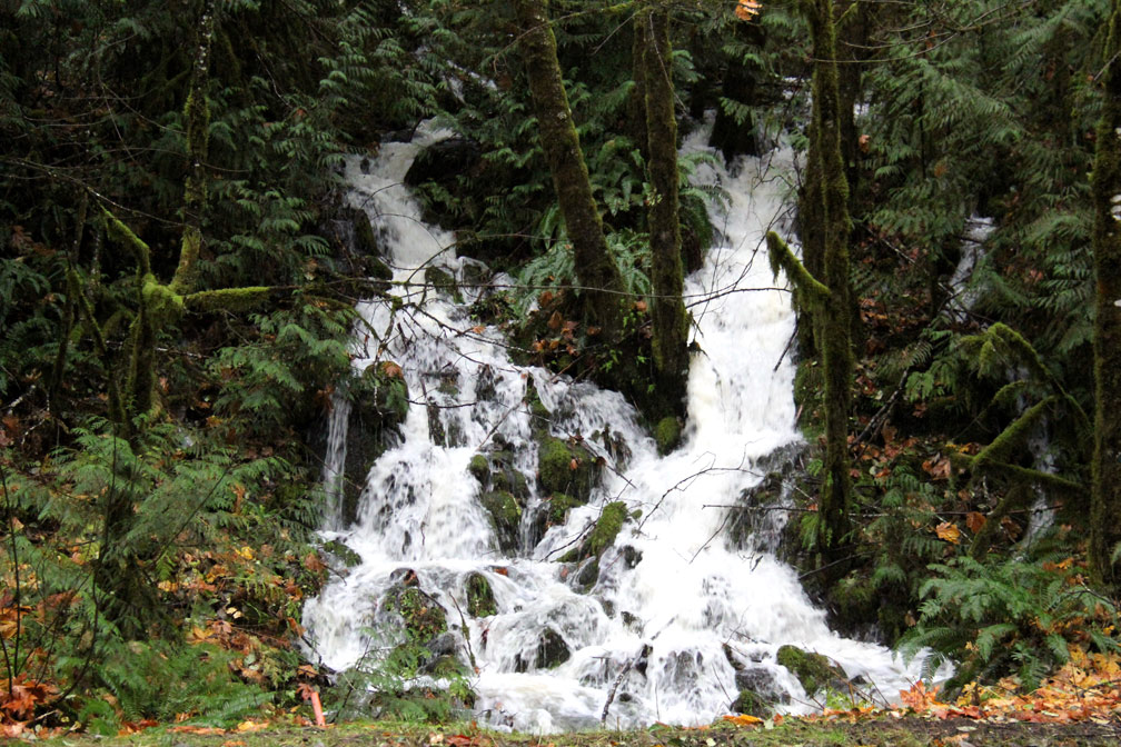 Waterfall on Hwy 58, 11-21-12